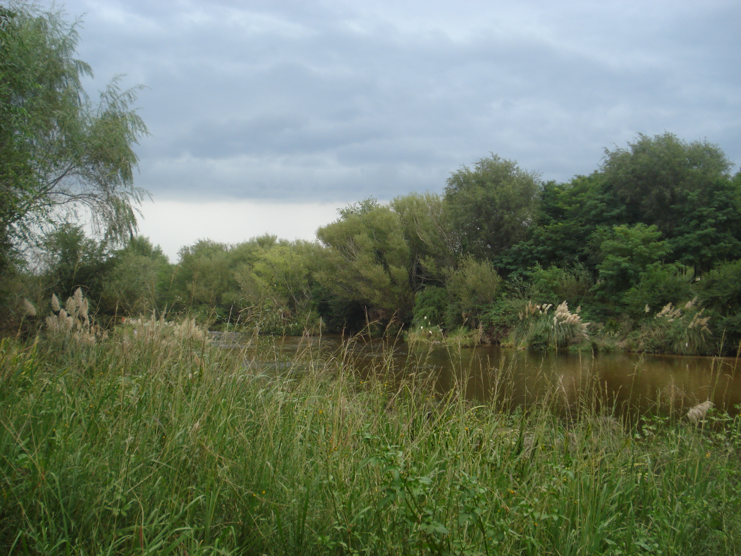 fotos/2011 - Los Reartes/DSC00396.JPG